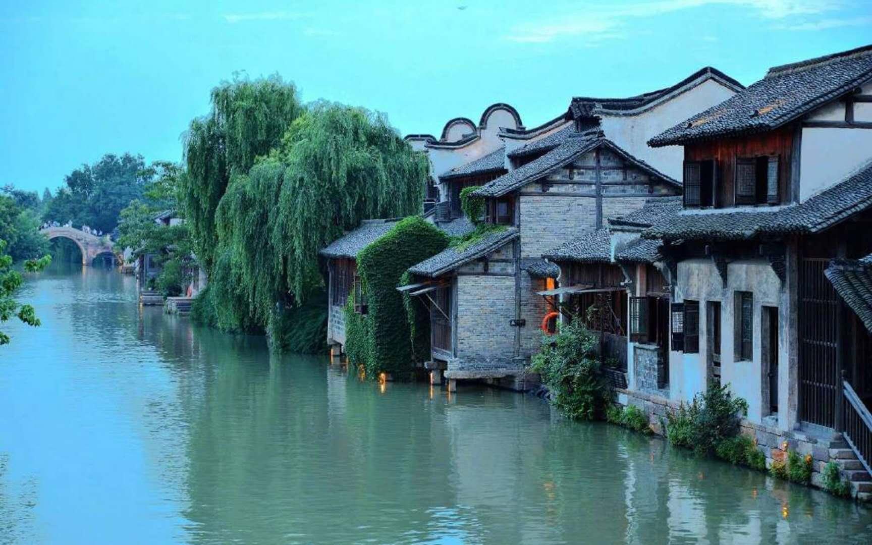 救援七星瓢虫